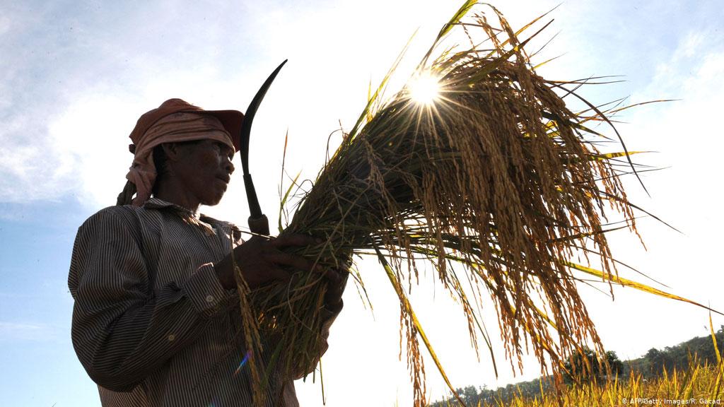 Filipino peasant